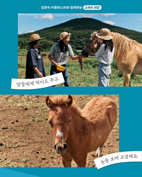 김은숙 카름마스터 사진 3